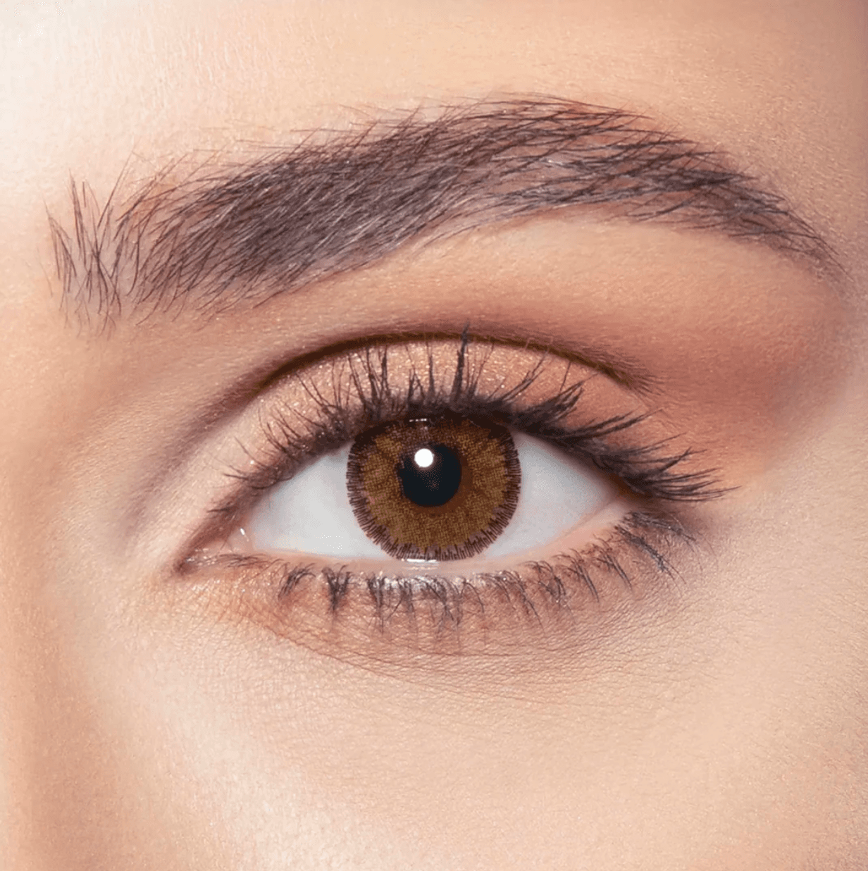 Bella Contour Collection